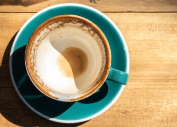 Build a bottom-up financial model to show potential investors you’re serious