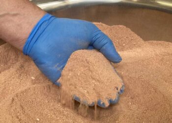 NovoNutrients wants to turn CO2 into protein