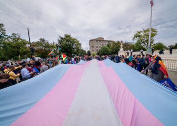 Missouri trans ‘snitch form’ down after people spammed it with the ‘Bee Movie’ script