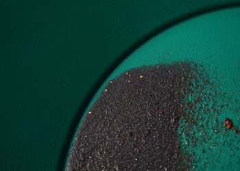 Eureka! After California’s Heavy Rains, Gold Seekers Are Giddy.