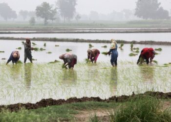 Pakistan slashes provisional GDP growth to 0.29% for 2022-23