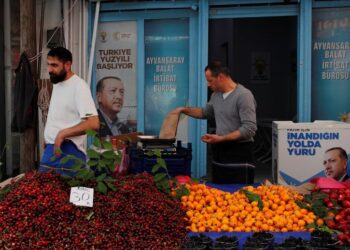 Erdogan party split on economic plan as Turkey runoff looms, sources say