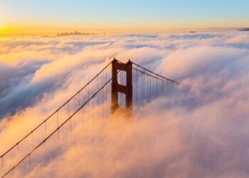 TechCrunch+ roundup: South Korea investor survey, 1-hour board meetings, venture leasing basics