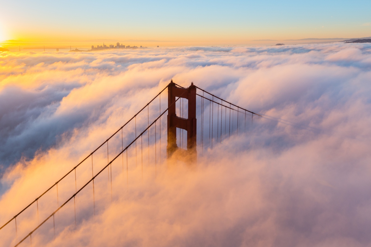 TechCrunch+ roundup: South Korea investor survey, 1-hour board meetings, venture leasing basics