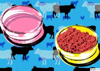 This week in foodtech: Cultivated meat is still a sizzling topic