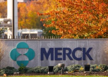 Factbox-What are governments doing to ease inflation pain?