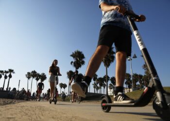 Bird founder Travis VanderZanden officially leaves the nest