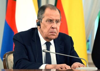 Russian, Turkish ministers talk after Turkey sends Ukrainian commanders home