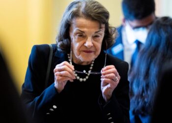 A confused Dianne Feinstein tried to give a speech in the middle of a Senate hearing vote and was told to ‘just say aye’ instead