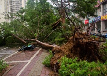 China’s July economic losses from disasters exceed January-June