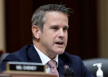 Kinzinger slams DeSantis for not meeting with Biden in Florida: ‘Absolutely outrageous’