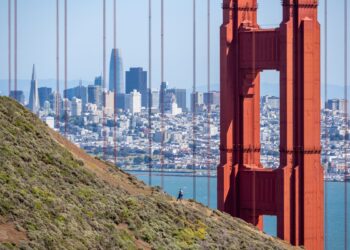 TechCrunch+ picks: 9 books set around San Francisco