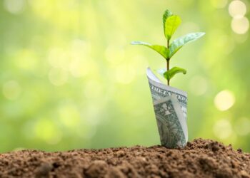 Why we’re seeing so many seed-stage deals in fintech