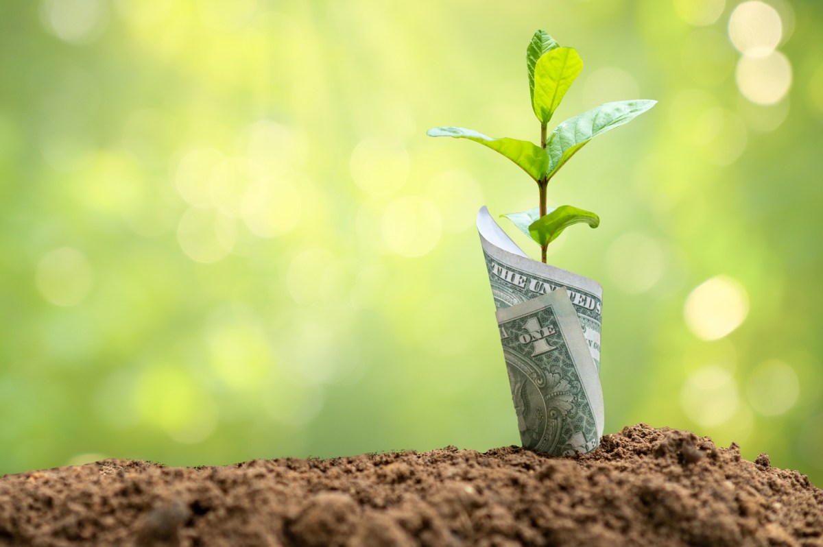 Why we’re seeing so many seed-stage deals in fintech