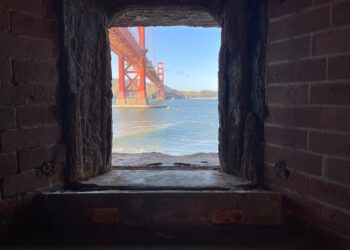 TechCrunch+ Roundup: AI investor survey, calculating TAM, inside the FTX trial