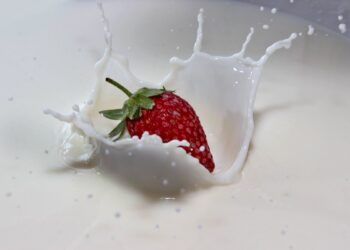 Bon Vivant toasts taking $15.9M to brew up versatile animal-free dairy proteins