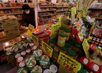 Japan households’ inflation expectations rise slightly -BOJ poll