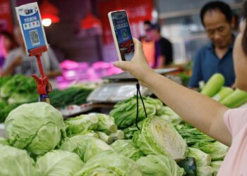 China to choose fiscal muscle over big reforms to revive economy