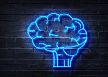 What startup founders need to know about AI heading into 2024