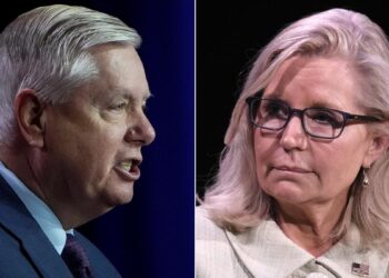 Graham dismisses Liz Cheney’s Trump warning, says ‘world will be truly on fire’ if Biden re-elected