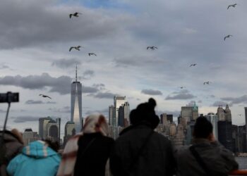 Analysis-US elections toss twist at markets fixated on Fed, economy