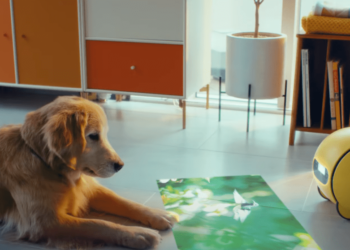 What CES 2024 told us about the home robot