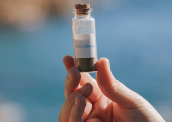 Poseidona is removing invasive algae from oceans and turning it into food