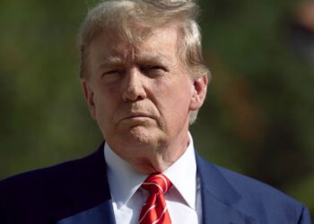 One Vice President Possibility Is Gaining Traction With Donald Trump, NBC Reports