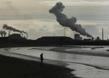 A woman who suffered a brain injury after a fall lost out on $750,000 compensation after a judge branded her ‘dishonest’