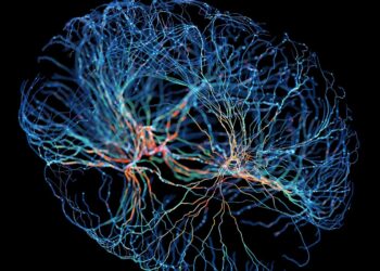 Neurotech’s Role In Enhancing Performance And Decision-Making