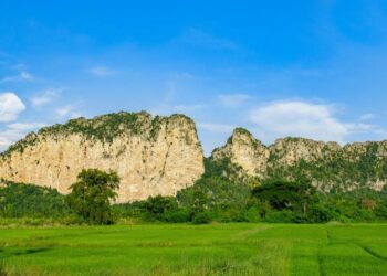 ‘Golden’-tailed creature — pregnant with 2 eggs — discovered as new species. See it