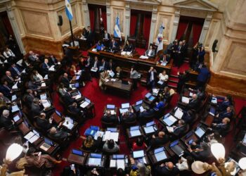 Argentine Senate passes Milei reform bill as protests rage outside