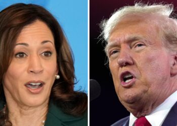Harris campaign hits Trump over Fox News interview: ‘This guy shouldn’t be president ever again’
