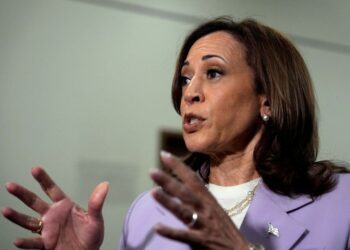 Harris to focus on grocery costs, child tax credit in economic agenda, advisers say