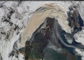 Canada wildfires last year released more carbon than several countries