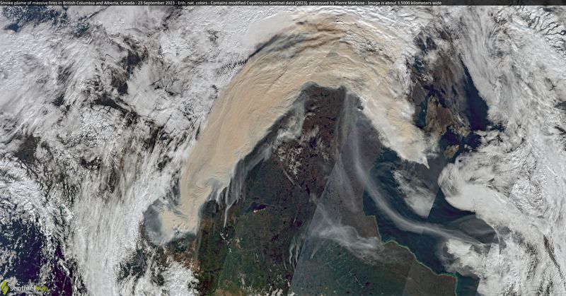 Canada wildfires last year released more carbon than several countries