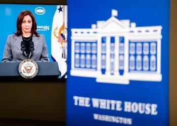 Unrealized Gains Tax Is “Capital Punishment”