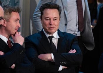 Trump Embracing Musk’s ‘Government Efficiency Commission’