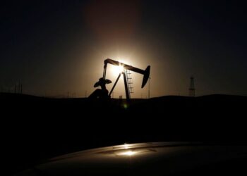 Column-The 2024 disinflation lesson: ignore oil at your peril: McGeever