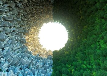 Sony Ventures Says These Trends Are Shaping Climate Tech Investment