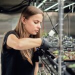 Google’s X spins out Heritable Agriculture, a startup using AI to improve crop yield