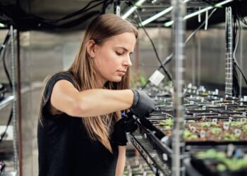 Google’s X spins out Heritable Agriculture, a startup using AI to improve crop yield