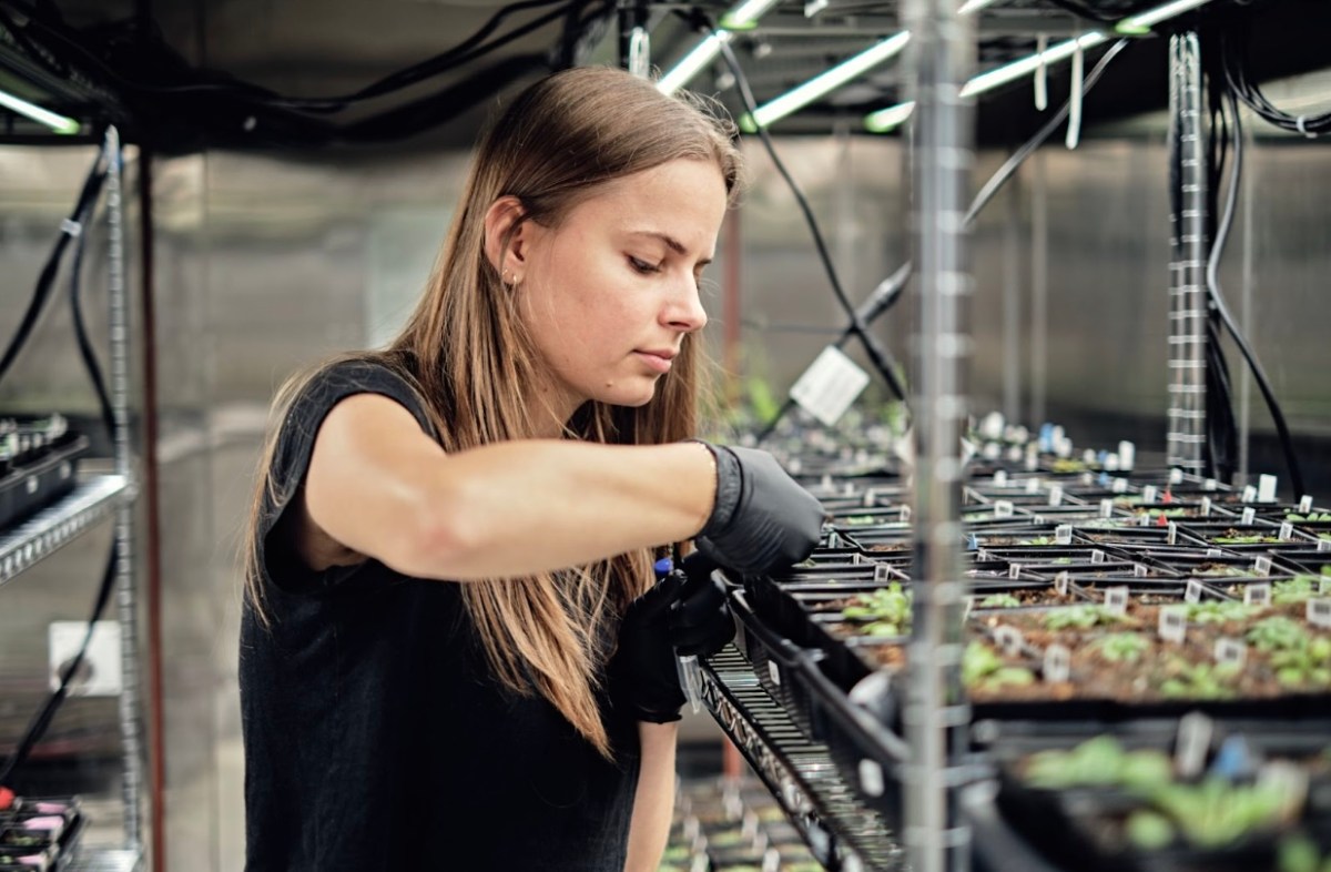 Google’s X spins out Heritable Agriculture, a startup using AI to improve crop yield