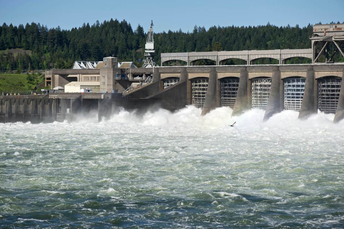 Trump admin reverses hydropower layoffs that sparked grid stability fears