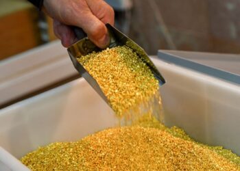 Gold mounts record summit, eyes $3,000 peak