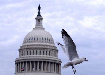 US Senate passes bill to avert shutdown, House Democrats turn on Schumer