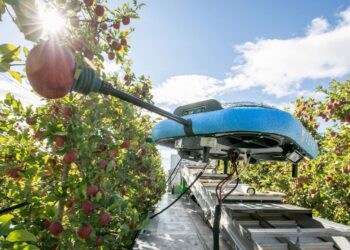 From Israel With Smart Technology: Improving Global Food Security