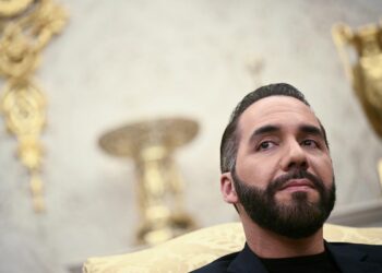 El Salvador president orders arrest of of bus company heads for defying free transport order