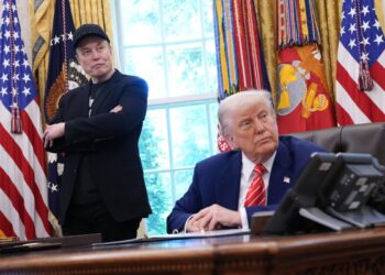 Why are Elon Musk and Donald Trump fighting?