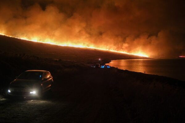 Turkey arrests ten suspects after wildfires, interior minister says